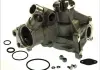 Водяная помпа THERMOTEC D1M029TT