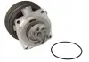 Водяная помпа THERMOTEC D1F070TT