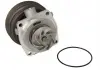 Насос охолоджуючої рідини THERMOTEC D1F070TT (фото 3)