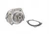 Водяная помпа THERMOTEC D1F020TT