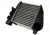 Интеркулер THERMOTEC DAW001TT (фото 2)