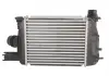 Интеркулер THERMOTEC DAR004TT