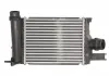 Интеркулер THERMOTEC DAR004TT (фото 2)