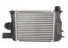Интеркулер THERMOTEC DAR004TT (фото 3)
