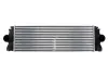 Интеркулер THERMOTEC DAM004TT