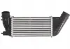 Интеркулер THERMOTEC DAC006TT