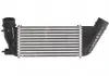 Інтеркулер THERMOTEC DAC006TT (фото 3)