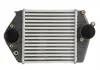 Интеркулер THERMOTEC DA3002TT (фото 1)