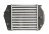 Интеркулер THERMOTEC DA3002TT (фото 2)