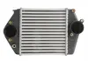 Интеркулер THERMOTEC DA3002TT (фото 3)