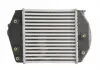 Интеркулер THERMOTEC DA3002TT (фото 4)