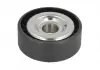 Ролик натяжителя BTA E2R5607BTA