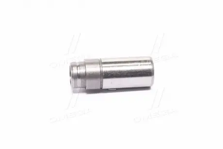 Направляющая клапана AE VAG96204