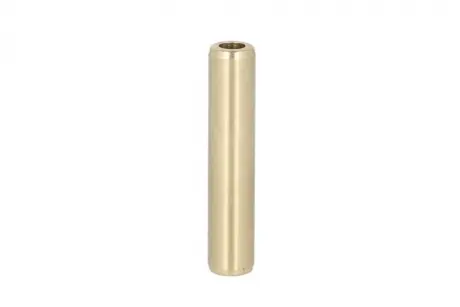 Направляющая клапана FRECCIA G11526
