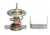 Термостат THERMOTEC D2X009TT