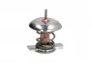 Термостат THERMOTEC D2X007TT