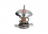 Термостат THERMOTEC D2X007TT (фото 2)