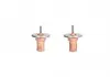 Термостат системи охолодження THERMOTEC D2W001TT (фото 2)