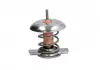 Термостат THERMOTEC D2X005TT