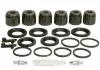Ремонтный комплект Autofren Seinsa D4 1923C