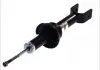 Амортизатор задний Magnum Technology AG4010MT