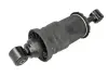 Амортизатор кабины SACHS 313 077