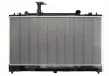Радіатор THERMOTEC D73004TT
