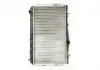 Радиатор THERMOTEC D70009TT