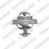Термостат Citroen XM / Peugeot 605 3.0 89-00 (78C) TH4780.78J