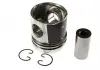 Поршень MAHLE KNECHT 2136600 (фото 1)