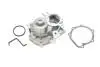 Помпа водяная GRAF PA1008