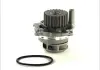Водяная помпа THERMOTEC D1W028TT