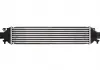 Интеркулер THERMOTEC DAD002TT (фото 2)