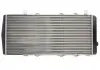 Радіатор THERMOTEC D7S004TT (фото 4)