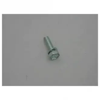 Болт із шестигранною головкою (M6x1x21) VAG WHT000309 (фото 1)