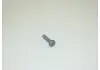 Винт с внутренним Torx М6 * 22 VAG N10700201 (фото 1)
