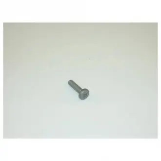 Гвинт з внутрішнім Torx М6 * 22 VAG N10700201