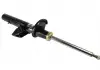 Амортизатор задний Magnum Technology AGG119MT