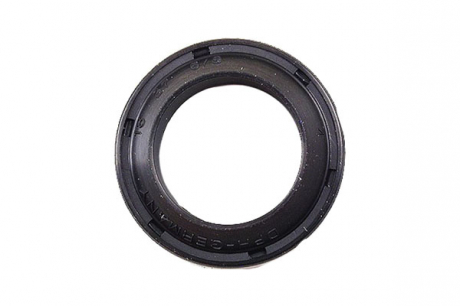 Уплотнительное кольцо КПП Borsehung B17833 (фото 1)