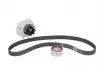 Комплект (реминьроликпомпа) SKF VKMC 02206-2 (фото 4)
