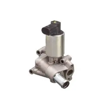 Клапан рециркуляции газов MAGNETI MARELLI EV066 (фото 1)
