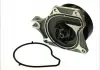 Насос охолоджуючої рідини, з ущільненням MAZDA 2, 3 1.3-1.6 10.03-05.19 THERMOTEC D13041TT (фото 2)