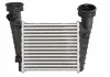 Интеркулер THERMOTEC DAW004TT