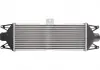 Интеркулер THERMOTEC DAE001TT (фото 2)