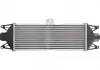 Интеркулер THERMOTEC DAE001TT (фото 4)