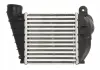 Інтеркулер THERMOTEC DAA008TT (фото 4)