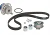 Роликовий модуль натягувача ременя (ролик. Ремінь. Помпа) SKF VKMC 01222