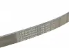 Ремень поликлиновой Contitech 7PK880 (фото 4)