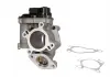Клапан EGR Renault TRAFIC II, MEGANE II, LAGUNA II / III, SCENIC II 2.0D 05- AV6063