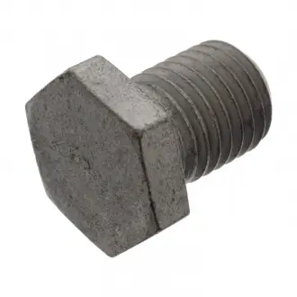 Пробка маслозлівного відчинити SWAG 20 92 7531 (фото 1)